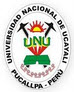 Maestrías Universidad Nacional de Ucayali